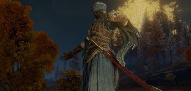 艾尔登法环巨型刀刀鞘MOD v2.46