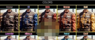 赛博朋克2077The RVC00N Dumpster-坏工人夹克MOD v2.46
