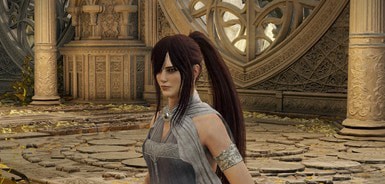 艾尔登法环长马尾发型MOD v2.3