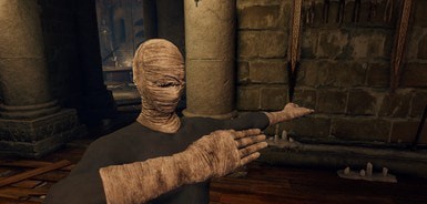 艾尔登法环缠绕物上不再有血MOD v3.87