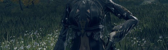 艾尔登法环浪花骑士套装MOD v1.84