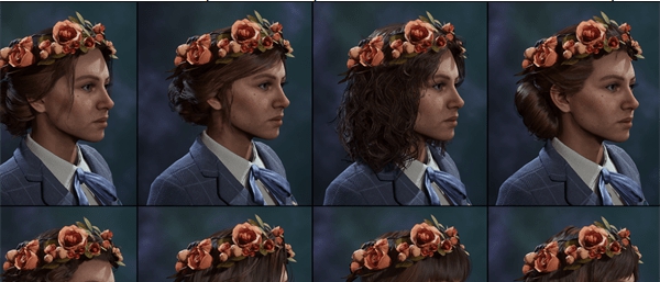 霍格沃茨之遗花之冠头饰MOD v2.43