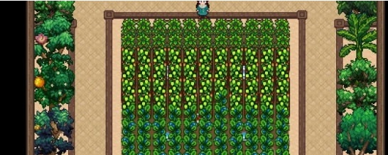 星露谷物语艾蒙的花式温室MOD v3.43