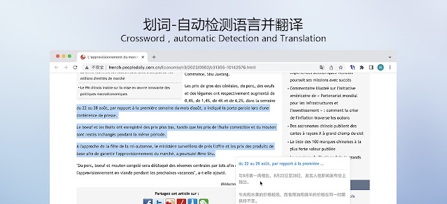 智译网页翻译插件 v1.3.2.2 智译网页翻译插件 v1.3.2.2