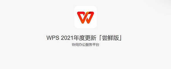 WPS 2021 v11.1.0.10219 WPS 2021 v11.1.0.10219