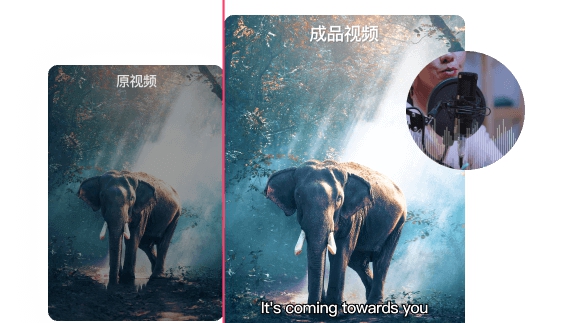 VAS视频加字幕 v9 VAS视频加字幕 v9