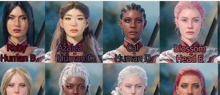 博德之门3多款面部预设MOD v2.84 博德之门3多款面部预设MOD v2.84