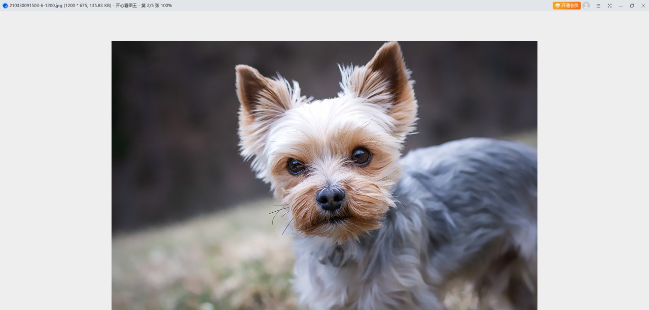 HappyPicture v1.0.8 HappyPicture v1.0.8