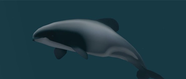 动物园大亨2大西洋黑白海豚MOD v2.74 动物园大亨2大西洋黑白海豚MOD v2.74