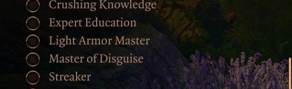 博德之门3最高成就MOD v2.69 博德之门3最高成就MOD v2.69