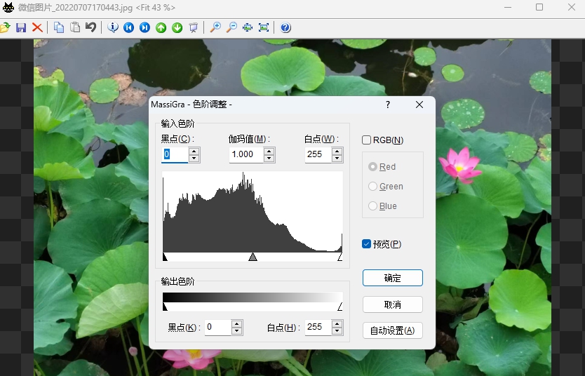 MassiGra v0.4.1.2 MassiGra v0.4.1.2