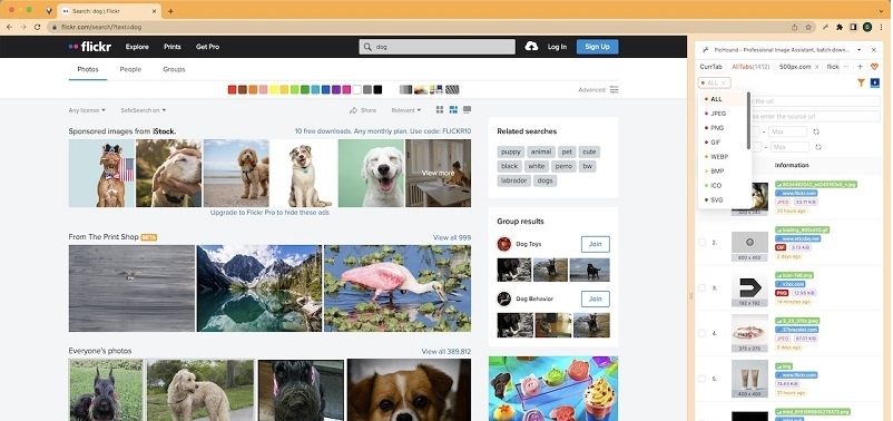 PicHound图片批量管理插件 v23.12.02