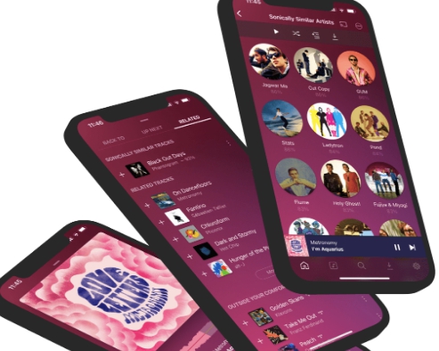 Plexamp v4.8.3