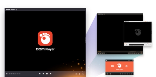 GOMPlayer v2.3.92.5364