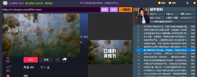 大头解析 v6.3 大头解析 v6.3