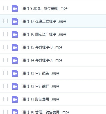 学通审计实务要点从入门到精通课 v1.35 学通审计实务要点从入门到精通课 v1.35