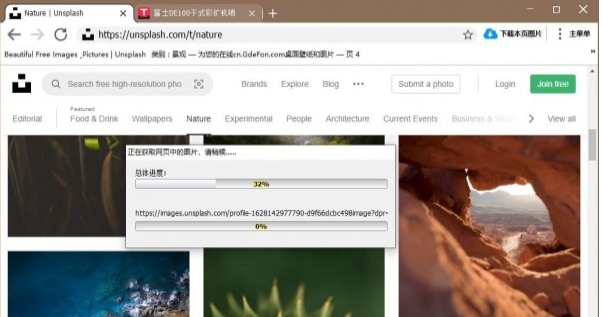 神奇网页图片下载机 v3.0.0.324 神奇网页图片下载机 v3.0.0.324