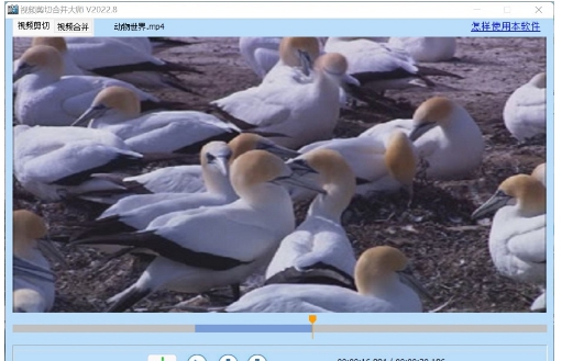 视频编辑精灵 v2.66