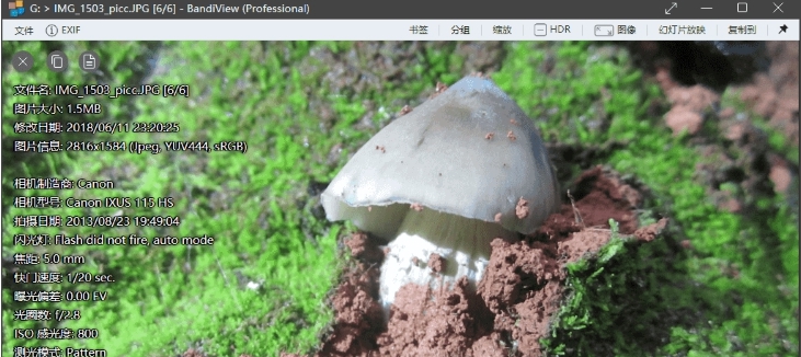 BandiView图片浏览 v7.05