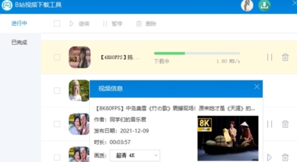 BVLoaderB站 v1.1