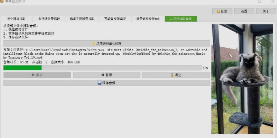 哼哼猫去水印软件 v3.5.4