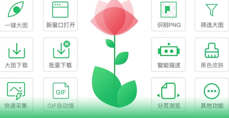 率叶花瓣网插件 v1.1