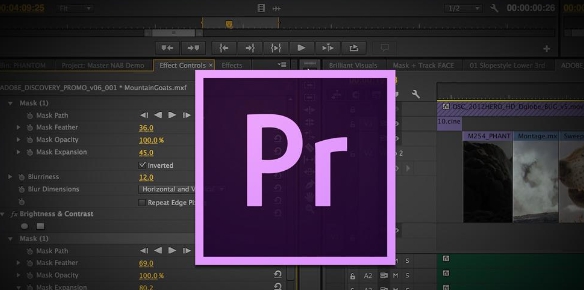 Adobe Premiere Pro v7.1
