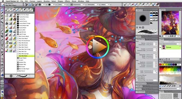 Corel Painter 12中文版